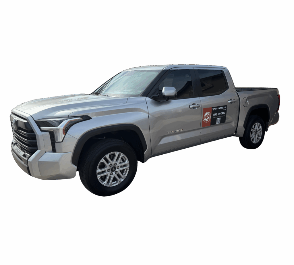 residential pest control services