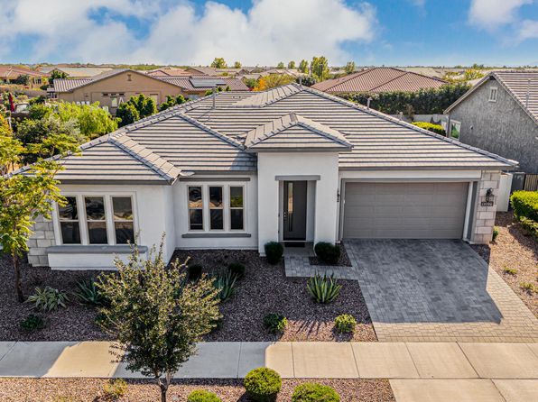 local pest control services new house