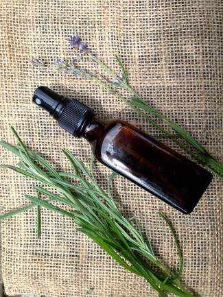 bugs and pest prevention