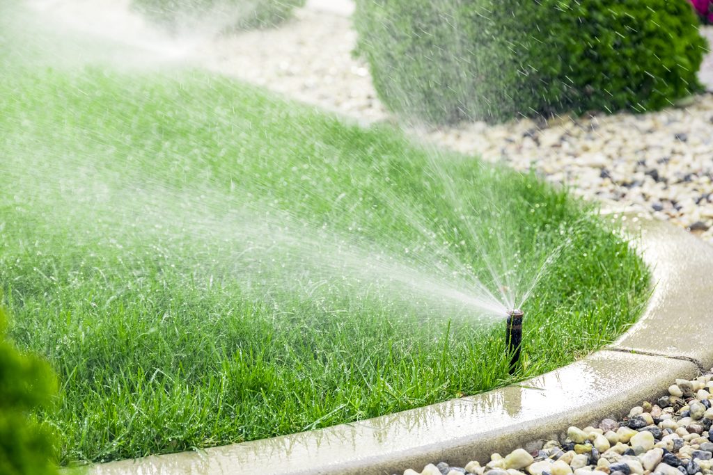 sprinkler-watering-fresh-green-grass-in-suburban-y-2026-09-23-07-06-12-utc - T J Pest Control LLC pest control services and irrigation systems in Phoenix, AZ